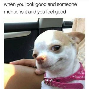 Meet your Posher, Beebas